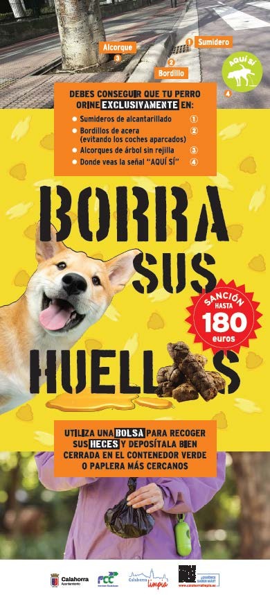 borrasushuellas